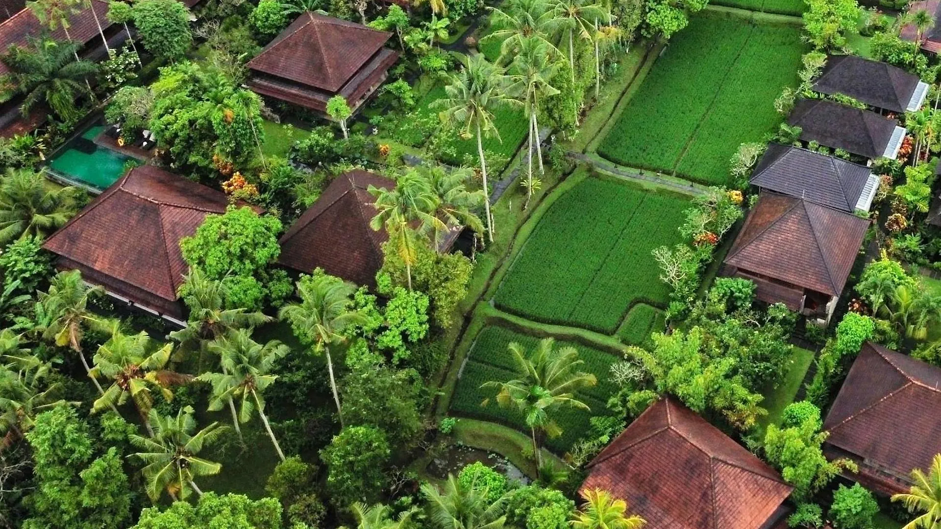 7 Family-Friendly Hotels in Kedewatan Worth Booking Now