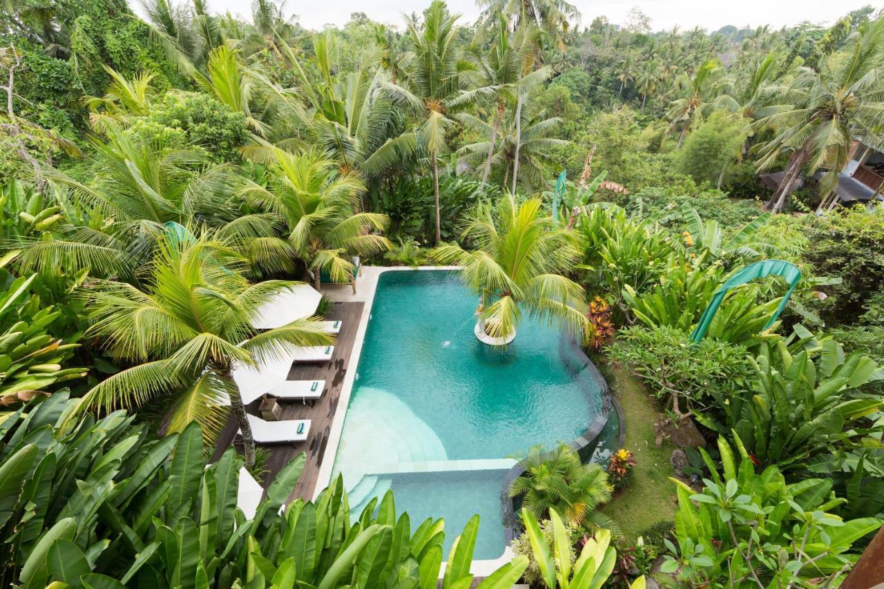 10 Central Hotels in Ubud City-Centre That Deliver on Location
