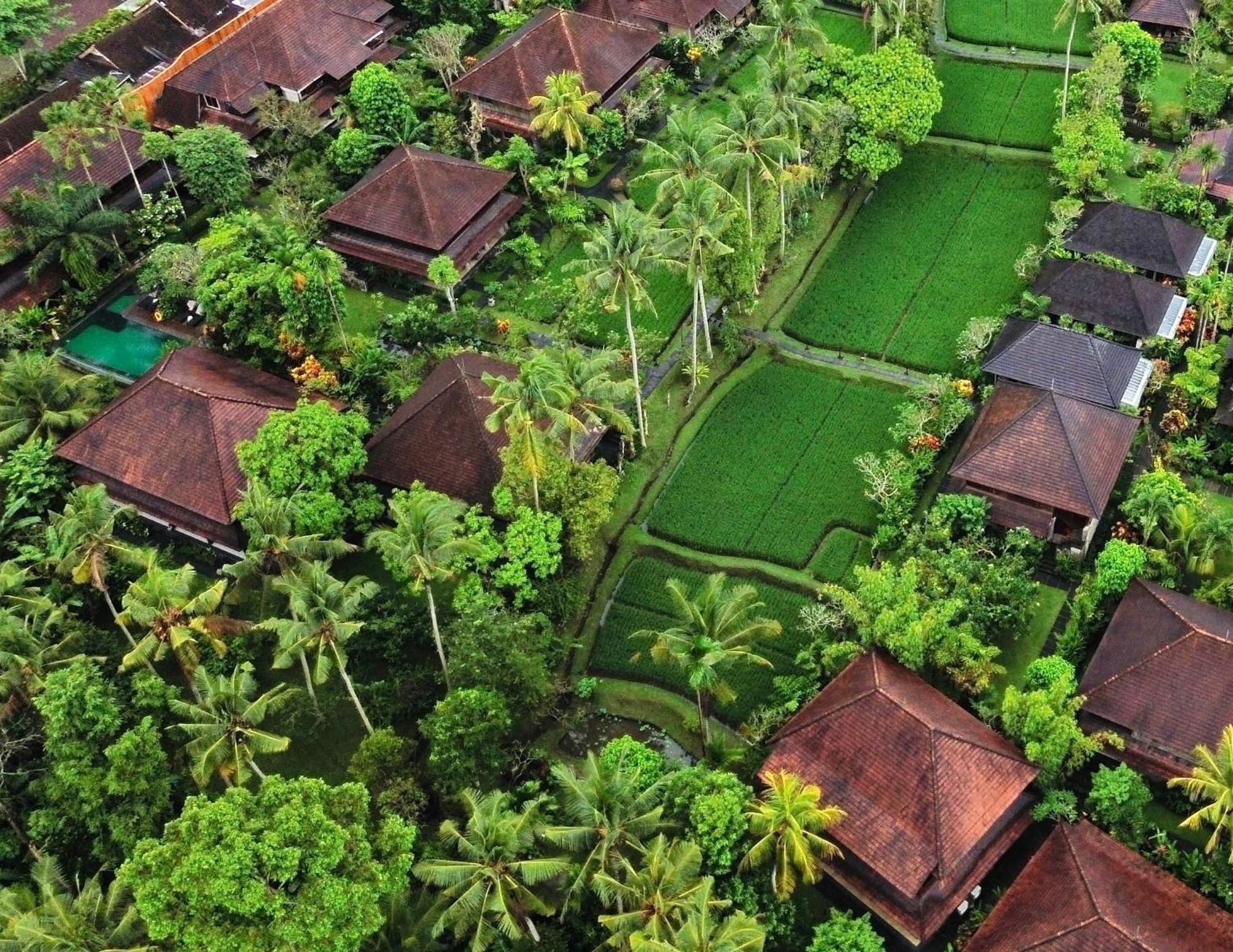 7 Family-Friendly Hotels in Kedewatan Worth Booking Now